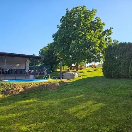 Violeta Villa *